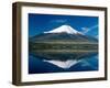 Mount Fuji, Lake Yamanaka, Fuji, Honshu, Japan-Steve Vidler-Framed Photographic Print