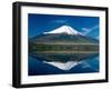 Mount Fuji, Lake Yamanaka, Fuji, Honshu, Japan-Steve Vidler-Framed Photographic Print