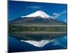 Mount Fuji, Lake Yamanaka, Fuji, Honshu, Japan-Steve Vidler-Mounted Photographic Print