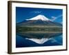 Mount Fuji, Lake Yamanaka, Fuji, Honshu, Japan-Steve Vidler-Framed Photographic Print