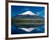 Mount Fuji, Lake Yamanaka, Fuji, Honshu, Japan-Steve Vidler-Framed Photographic Print