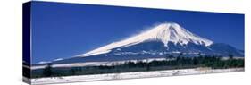 Mount Fuji Oshino Yamanashi Japan-null-Stretched Canvas