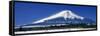 Mount Fuji Oshino Yamanashi Japan-null-Framed Stretched Canvas