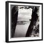 Mount Fuji, Seen from the Northwest, Through Pines at Lake Motosu, Japan, 1904-Underwood & Underwood-Framed Photographic Print