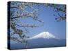 Mount Fuji-null-Stretched Canvas