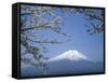 Mount Fuji-null-Framed Stretched Canvas
