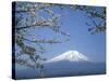 Mount Fuji-null-Stretched Canvas