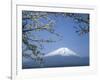 Mount Fuji-null-Framed Photographic Print