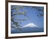 Mount Fuji-null-Framed Photographic Print