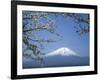 Mount Fuji-null-Framed Photographic Print