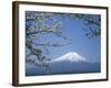 Mount Fuji-null-Framed Photographic Print