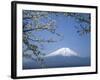 Mount Fuji-null-Framed Photographic Print