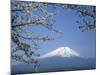 Mount Fuji-null-Mounted Photographic Print