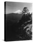 Mount Fujiyama-null-Stretched Canvas