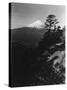 Mount Fujiyama-null-Stretched Canvas