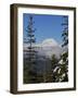 Mount Garibaldi from The Chief overlook at the summit of the Sea to Sky Gondola-Kristin Piljay-Framed Photographic Print