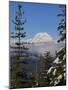 Mount Garibaldi from The Chief overlook at the summit of the Sea to Sky Gondola-Kristin Piljay-Mounted Photographic Print