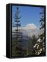 Mount Garibaldi from The Chief overlook at the summit of the Sea to Sky Gondola-Kristin Piljay-Framed Stretched Canvas