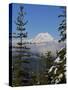 Mount Garibaldi from The Chief overlook at the summit of the Sea to Sky Gondola-Kristin Piljay-Stretched Canvas