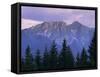 Mount Giewont and Zakopane, Tatra Mountains, Poland, Europe-Gavin Hellier-Framed Stretched Canvas