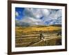 Mount Haggin Nwr Near Anaconda, Montana, USA-Chuck Haney-Framed Photographic Print