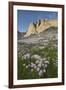 Mount Helen and purple Asters, Upper Titcomb Basin, Bridger Wilderness, Wind River Range, WY-Alan Majchrowicz-Framed Photographic Print