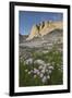 Mount Helen and purple Asters, Upper Titcomb Basin, Bridger Wilderness, Wind River Range, WY-Alan Majchrowicz-Framed Photographic Print