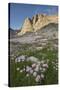 Mount Helen and purple Asters, Upper Titcomb Basin, Bridger Wilderness, Wind River Range, WY-Alan Majchrowicz-Stretched Canvas