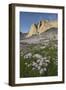 Mount Helen and purple Asters, Upper Titcomb Basin, Bridger Wilderness, Wind River Range, WY-Alan Majchrowicz-Framed Photographic Print