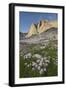 Mount Helen and purple Asters, Upper Titcomb Basin, Bridger Wilderness, Wind River Range, WY-Alan Majchrowicz-Framed Photographic Print