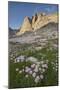 Mount Helen and purple Asters, Upper Titcomb Basin, Bridger Wilderness, Wind River Range, WY-Alan Majchrowicz-Mounted Photographic Print