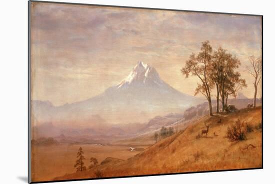 Mount Hood, 1863-Albert Bierstadt-Mounted Giclee Print