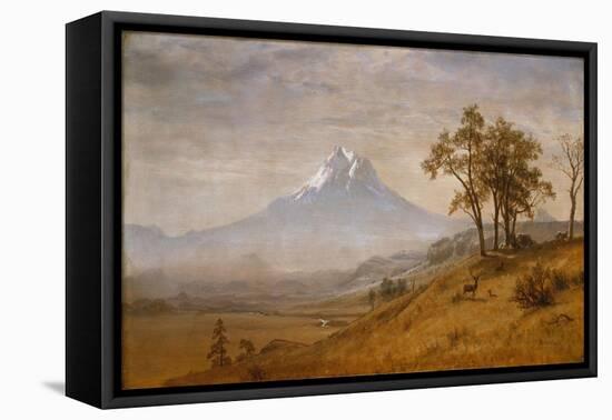 Mount Hood, 1863-Albert Bierstadt-Framed Stretched Canvas