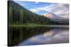 Mount Hood from Trillium Lake, Oregon-Vincent James-Stretched Canvas