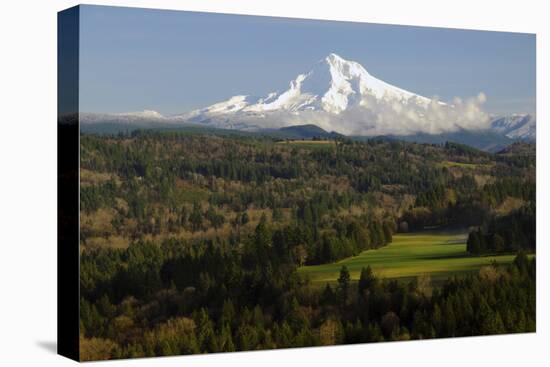 Mount Hood, Jonsrud Viewpoint, Sandy, Oregon, USA-Michel Hersen-Stretched Canvas