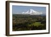 Mount Hood, Jonsrud Viewpoint, Sandy, Oregon, USA-Michel Hersen-Framed Photographic Print