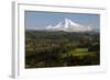 Mount Hood, Jonsrud Viewpoint, Sandy, Oregon, USA-Michel Hersen-Framed Photographic Print