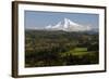 Mount Hood, Jonsrud Viewpoint, Sandy, Oregon, USA-Michel Hersen-Framed Photographic Print