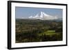 Mount Hood, Jonsrud Viewpoint, Sandy, Oregon, USA-Michel Hersen-Framed Photographic Print