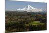 Mount Hood, Jonsrud Viewpoint, Sandy, Oregon, USA-Michel Hersen-Mounted Photographic Print