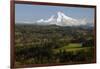 Mount Hood, Jonsrud Viewpoint, Sandy, Oregon, USA-Michel Hersen-Framed Photographic Print