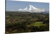 Mount Hood, Jonsrud Viewpoint, Sandy, Oregon, USA-Michel Hersen-Stretched Canvas