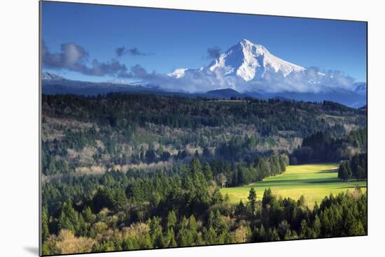 Mount Hood, Jonsrud Viewpoint, Sandy, Oregon, USA-Michel Hersen-Mounted Photographic Print