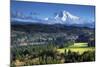 Mount Hood, Jonsrud Viewpoint, Sandy, Oregon, USA-Michel Hersen-Mounted Photographic Print