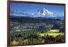 Mount Hood, Jonsrud Viewpoint, Sandy, Oregon, USA-Michel Hersen-Framed Photographic Print