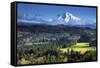 Mount Hood, Jonsrud Viewpoint, Sandy, Oregon, USA-Michel Hersen-Framed Stretched Canvas