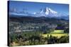 Mount Hood, Jonsrud Viewpoint, Sandy, Oregon, USA-Michel Hersen-Stretched Canvas