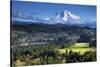 Mount Hood, Jonsrud Viewpoint, Sandy, Oregon, USA-Michel Hersen-Stretched Canvas