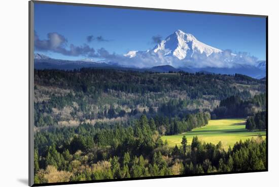 Mount Hood, Jonsrud Viewpoint, Sandy, Oregon, USA-Michel Hersen-Mounted Photographic Print