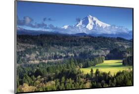 Mount Hood, Jonsrud Viewpoint, Sandy, Oregon, USA-Michel Hersen-Mounted Photographic Print